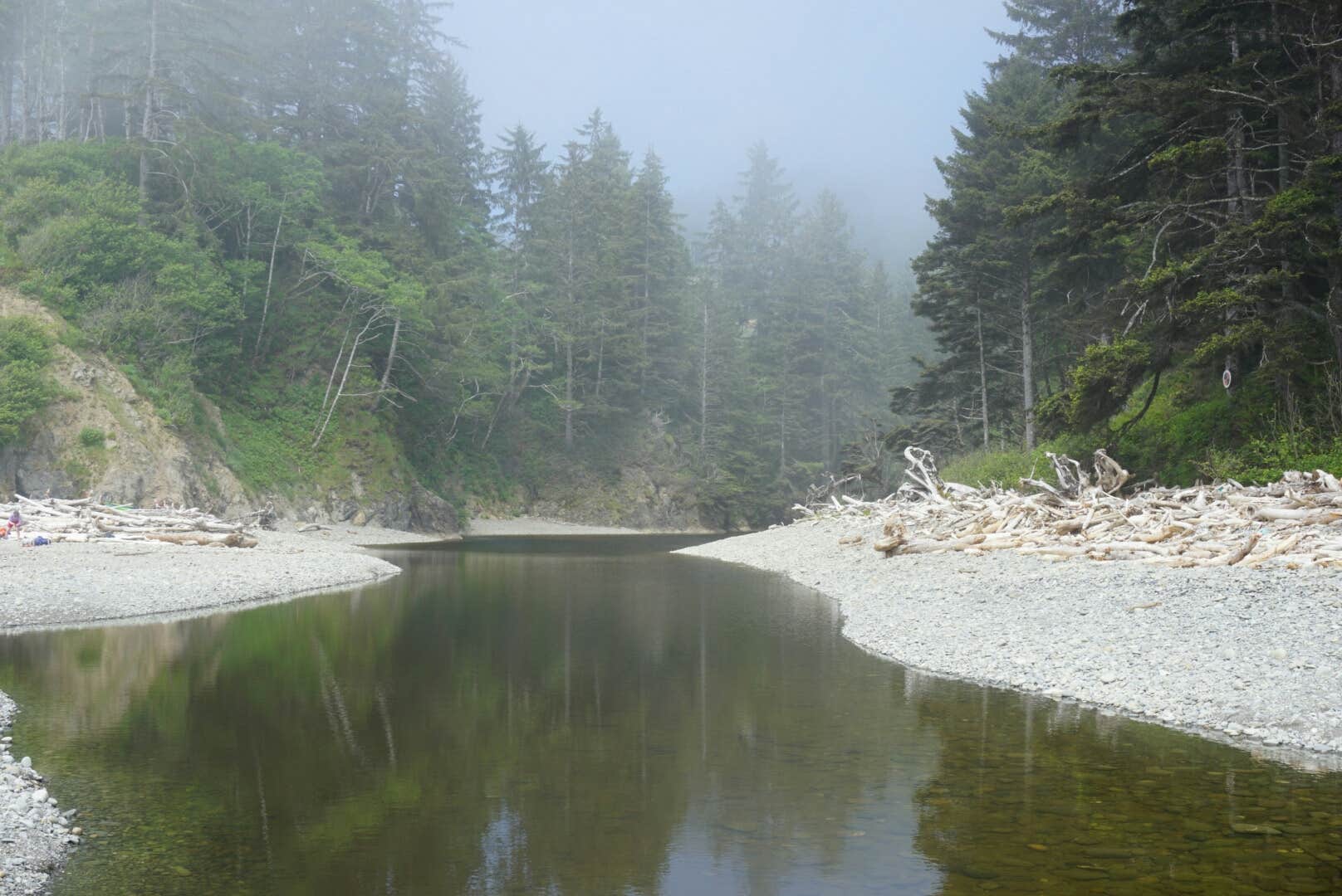 Camper submitted image from Mosquito Creek — Olympic National Park - 2