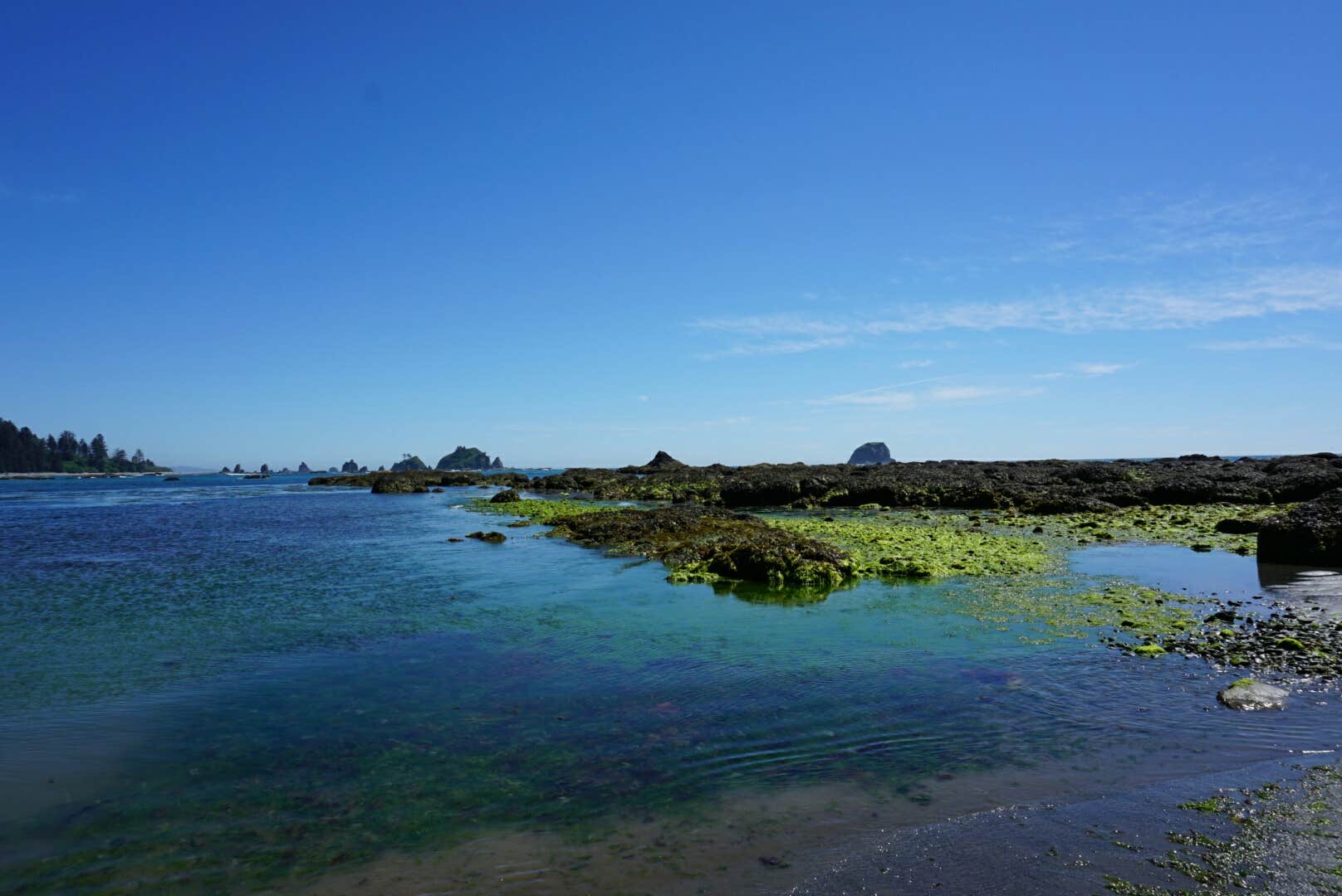 Strawberry Point Camping The Dyrt