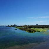 Review photo of Strawberry Point Camping — Olympic National Park by Kyle M., July 14, 2017