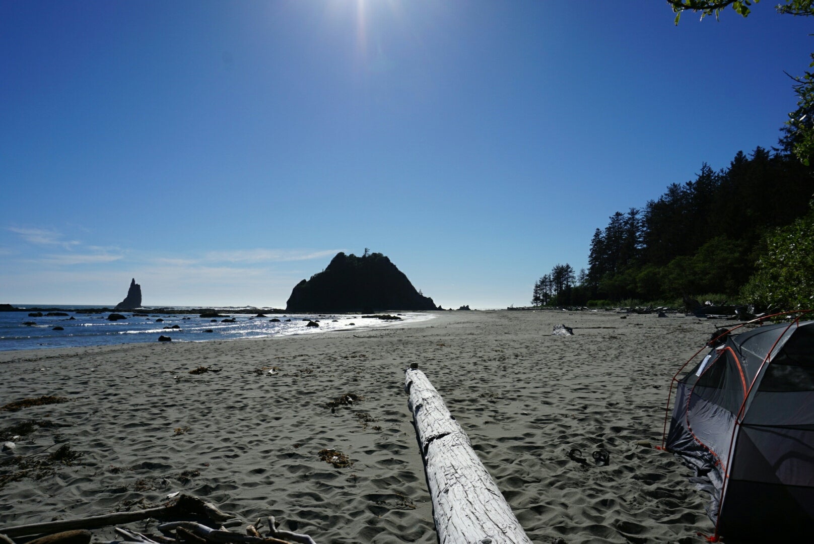 Camper submitted image from Strawberry Point Camping — Olympic National Park - 5