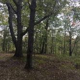 Review photo of Campground Road Backcountry Shelter #1 — Nathan Bedford Forrest State Park by Jessica L., June 26, 2016