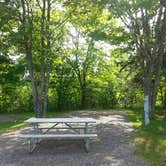 Review photo of Narrows Too Camping Resort by Nancy W., July 14, 2017