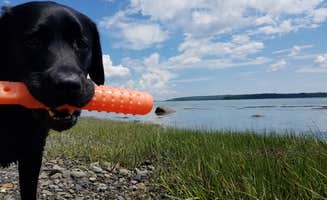 Nancy W.'s photo of camping with pets at Narrows Too Camping Resort near Sorrento, ME