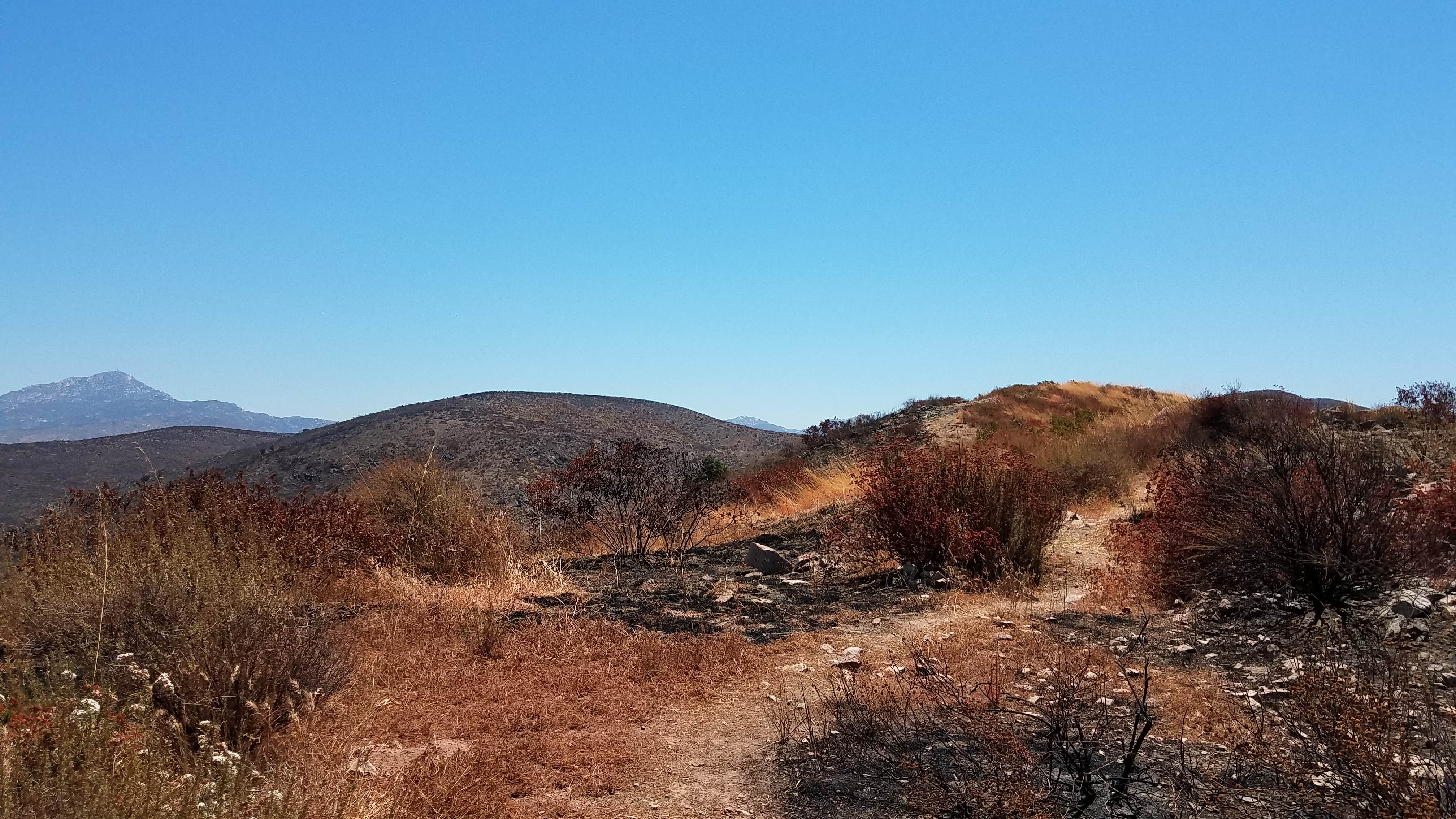 Camper submitted image from Thousand Trails Pio Pico - 2