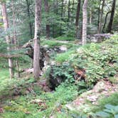 Review photo of Manor - Cunningham Falls State Park by Jen V., July 14, 2017