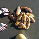 Review photo of Pacific Beach State Park Campground by Colleen T., June 18, 2016