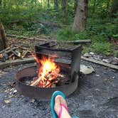 Review photo of Manor - Cunningham Falls State Park by Jen V., July 14, 2017