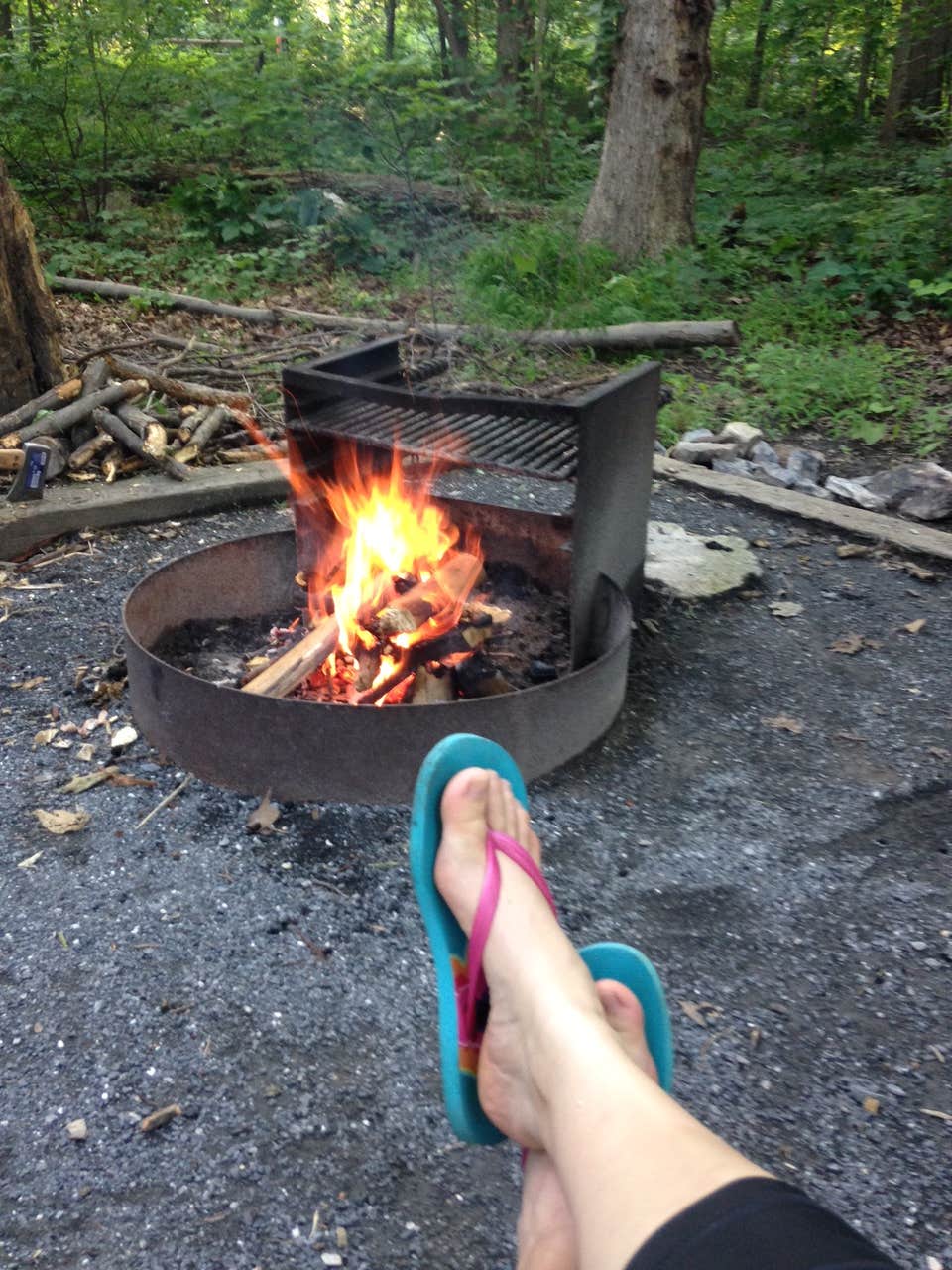 Camper submitted image from Manor - Cunningham Falls State Park - 5