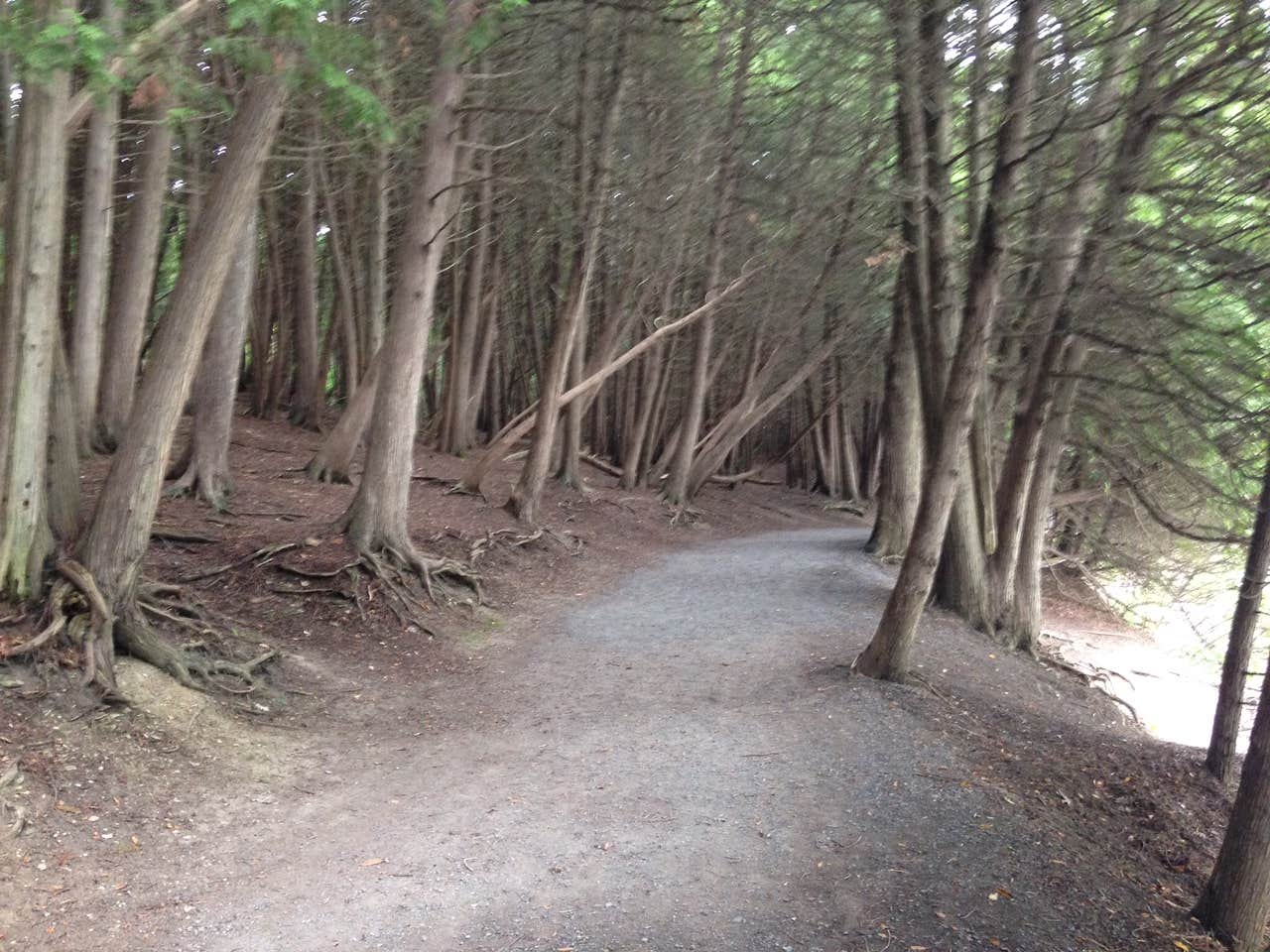 Camper-submitted photo at Green Lakes State Park Campground in New York