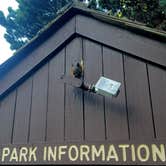 Review photo of South Beach State Park Campground by Tj B., July 14, 2017