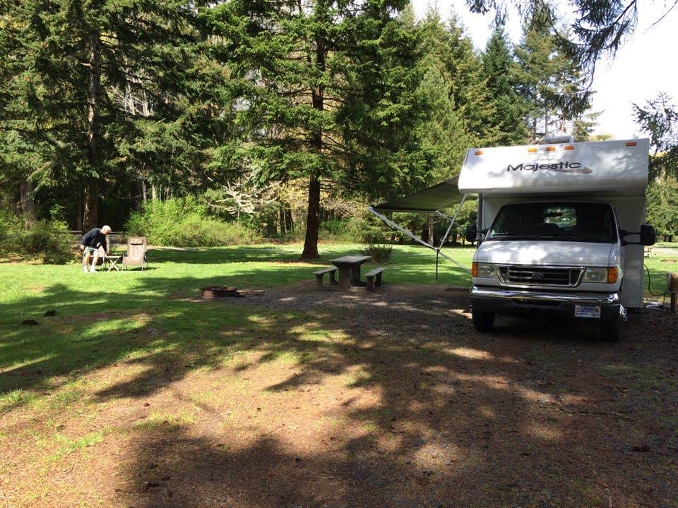 Camper submitted image from Dosewallips State Park Campground - 3