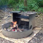 Review photo of Susquehanna State Park Campground by Jen V., July 14, 2017