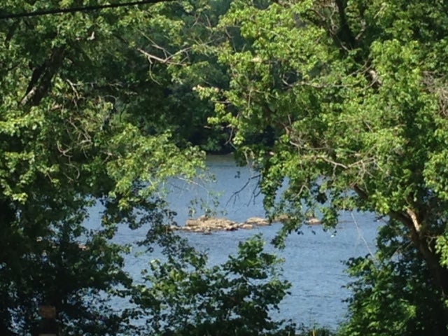 Camper submitted image from Susquehanna State Park - 4