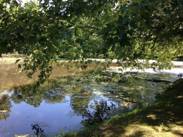 Camper submitted image from Susquehanna State Park Campground - 2