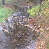 Review photo of New Germany State Park Campground by Jen V., July 14, 2017
