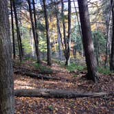 Review photo of New Germany State Park Campground by Jen V., July 14, 2017