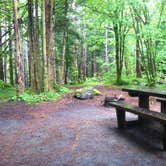 Review photo of Coho Campground by Colleen T., June 26, 2016
