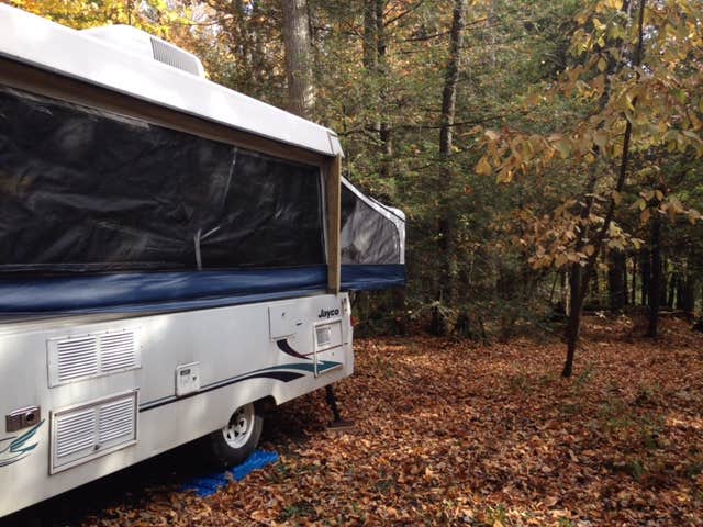 Camper submitted image from New Germany State Park Campground - 4