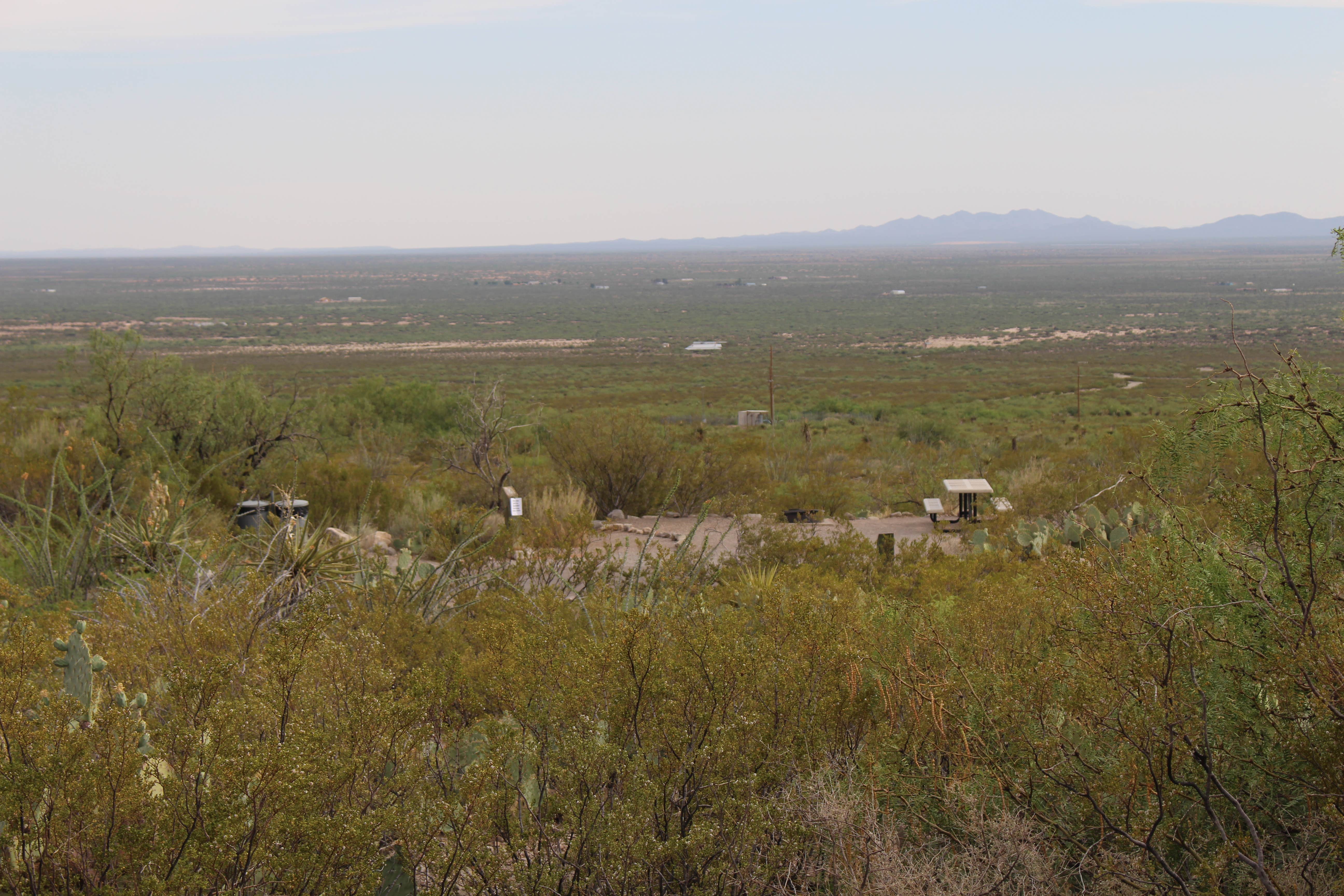 Camper submitted image from Oliver Lee Memorial State Park — Oliver Lee State Park - 2