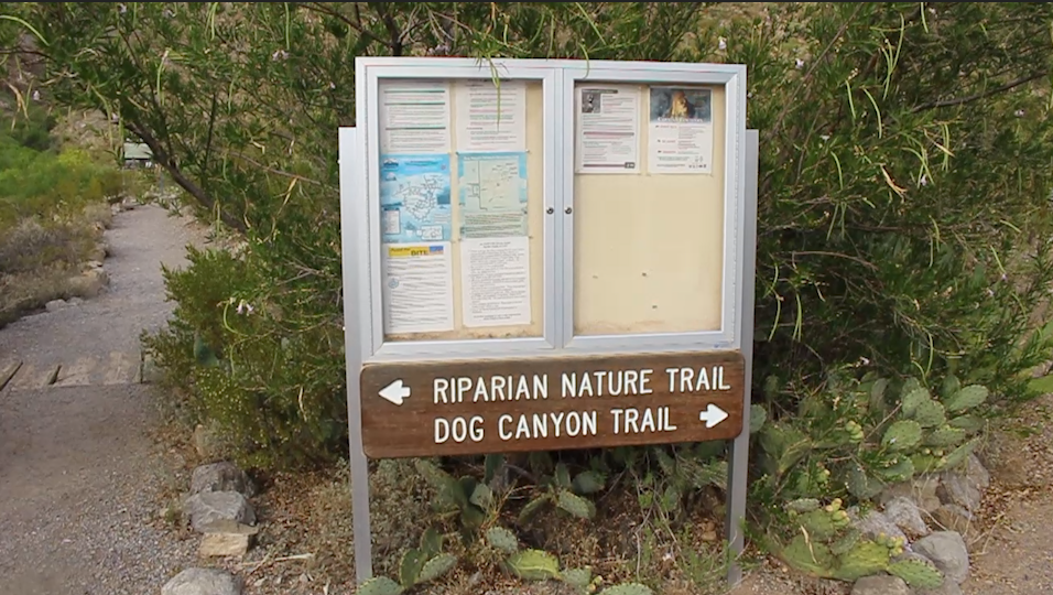 Camper submitted image from Oliver Lee Memorial State Park Campground - 2