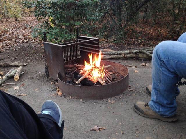 Camper submitted image from Tuckahoe State Park Campground - 2