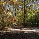 Review photo of Tuckahoe State Park Campground by Jen V., July 14, 2017