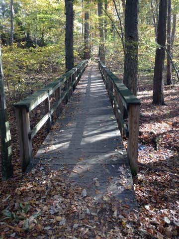 Camper submitted image from Tuckahoe State Park Campground - 3