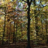 Review photo of Tuckahoe State Park Campground by Jen V., July 14, 2017