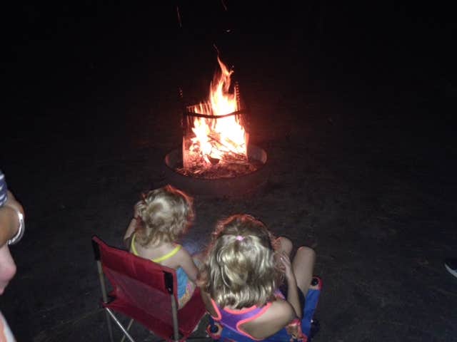 Camper submitted image from Shad Landing Campground - 5
