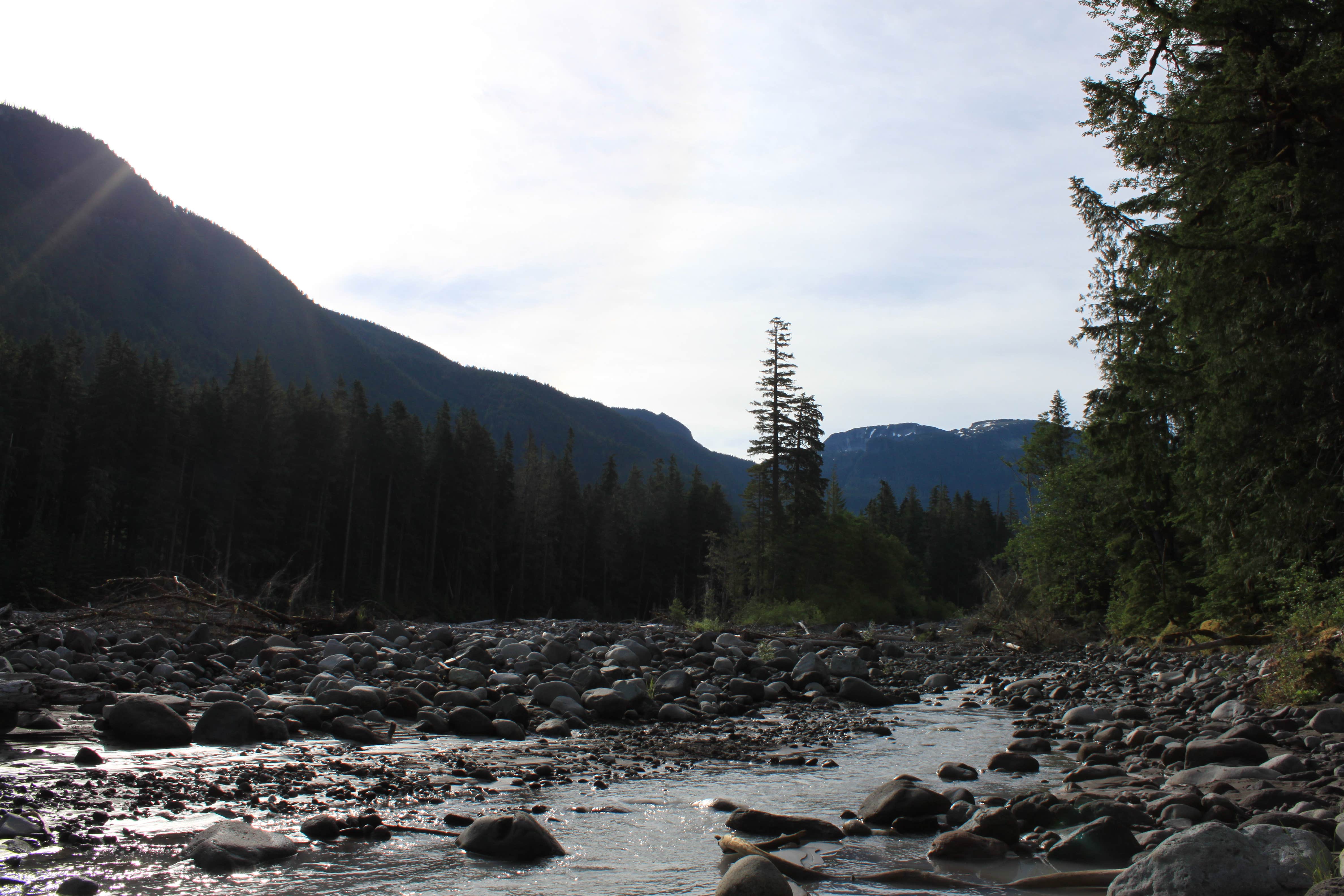 Camper submitted image from Ipsut Creek Camp — Mount Rainier National Park - 3