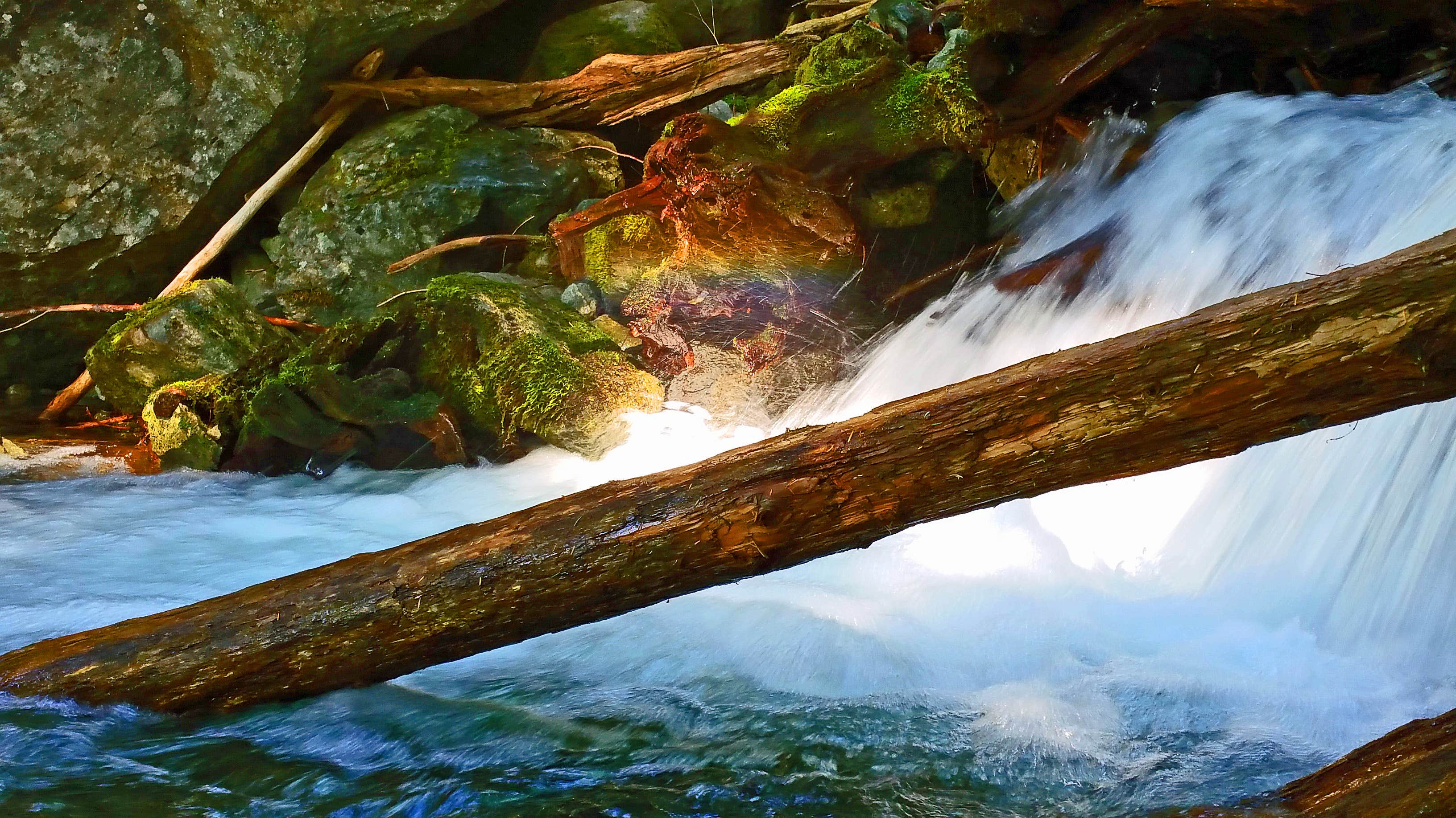 Camper-submitted photo at Ipsut Creek Camp — Mount Rainier National Park near Lake Tapps, WA