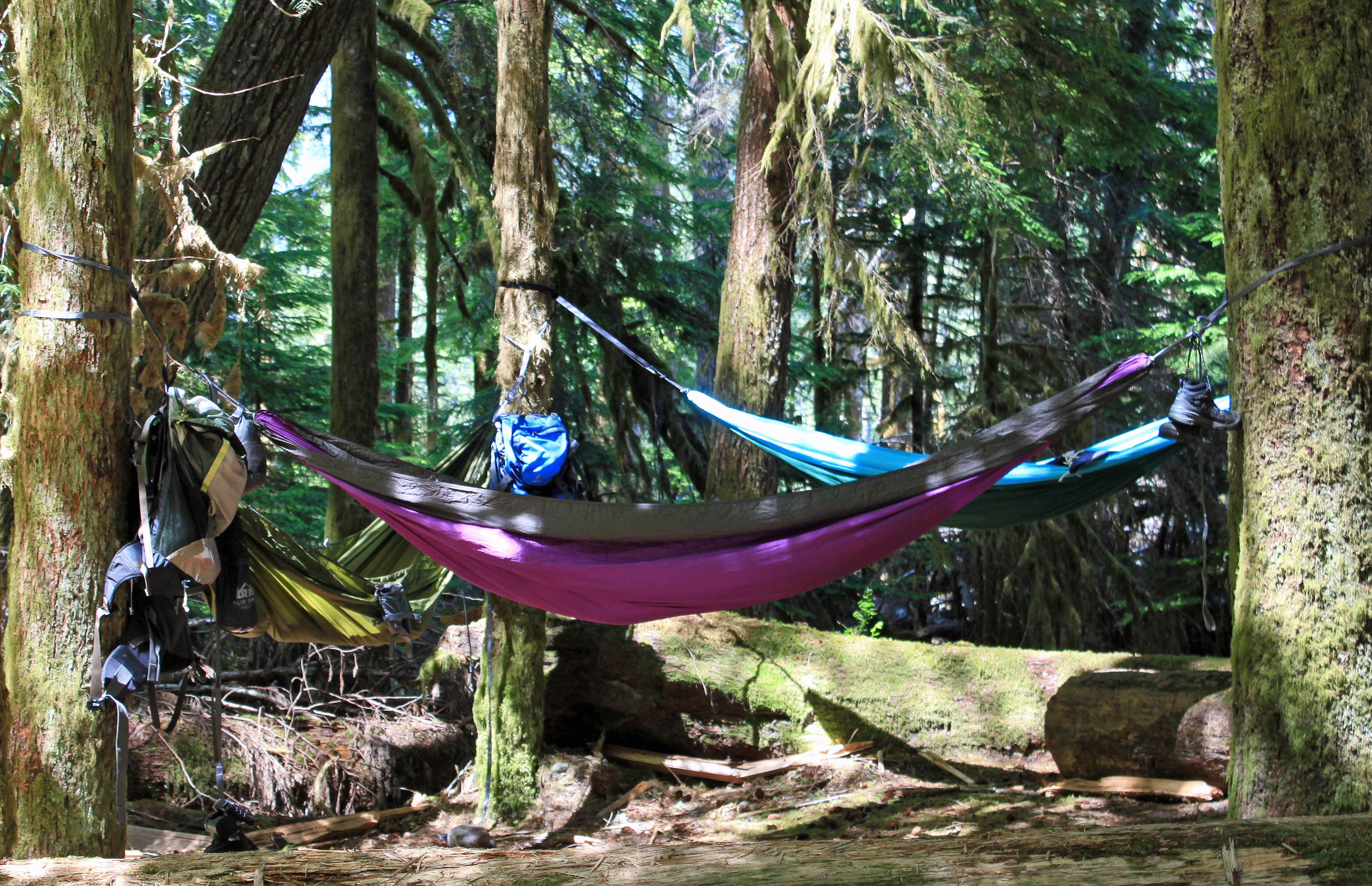 Camper submitted image from Ipsut Creek Camp — Mount Rainier National Park - 2