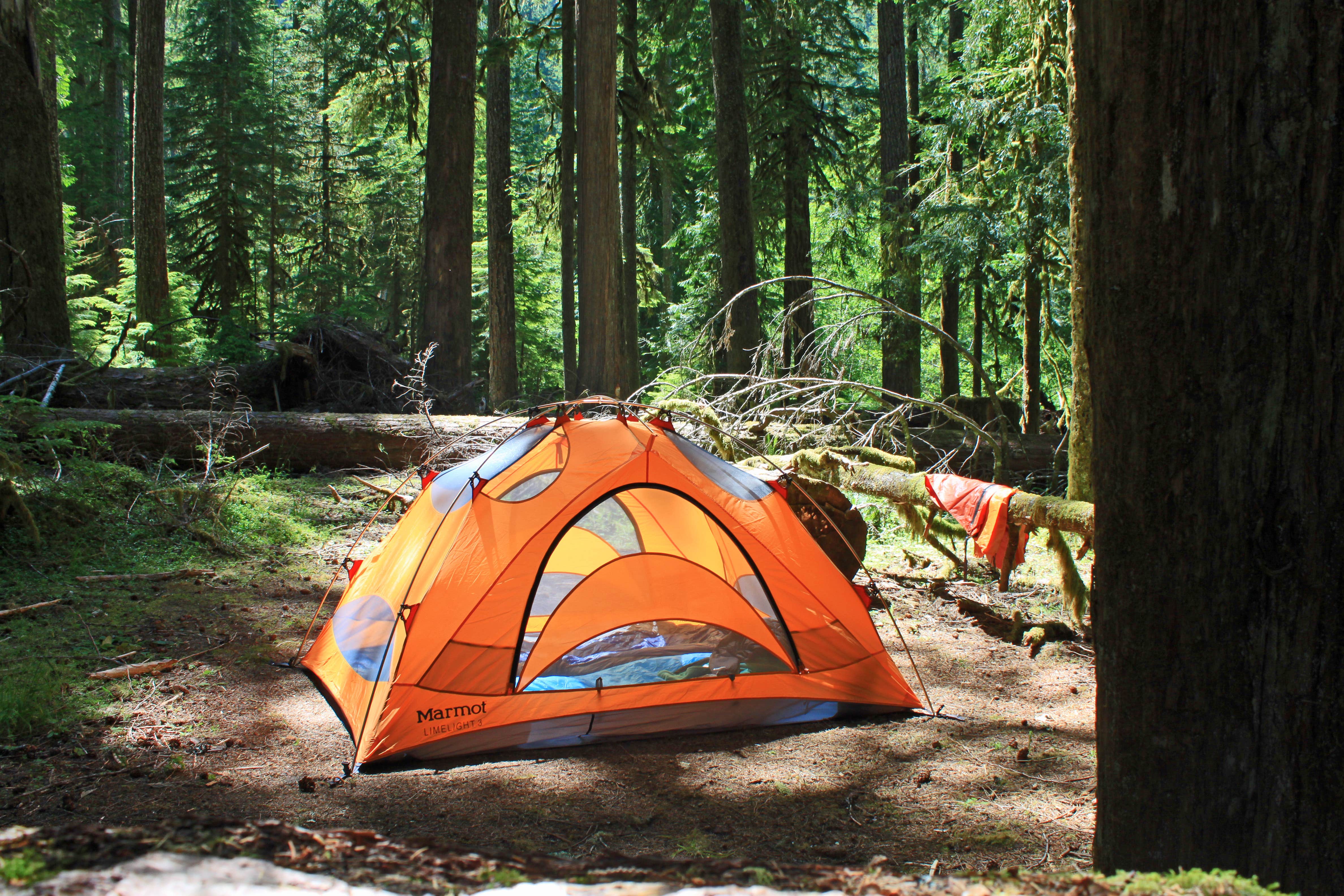 Megan C.'s photo of a dispersed camping area at Ipsut Creek Camp — Mount Rainier National Park near Lake Tapps, WA