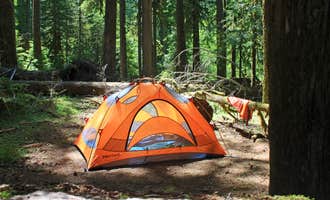 Camping near Golden Lakes Backcountry Campsites — Mount Rainier National Park: Ipsut Creek Camp — Mount Rainier National Park, Mount Rainier National Park, Washington