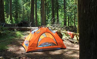 Megan C.'s photo at Ipsut Creek Camp — Mount Rainier National Park near Lake Tapps, WA