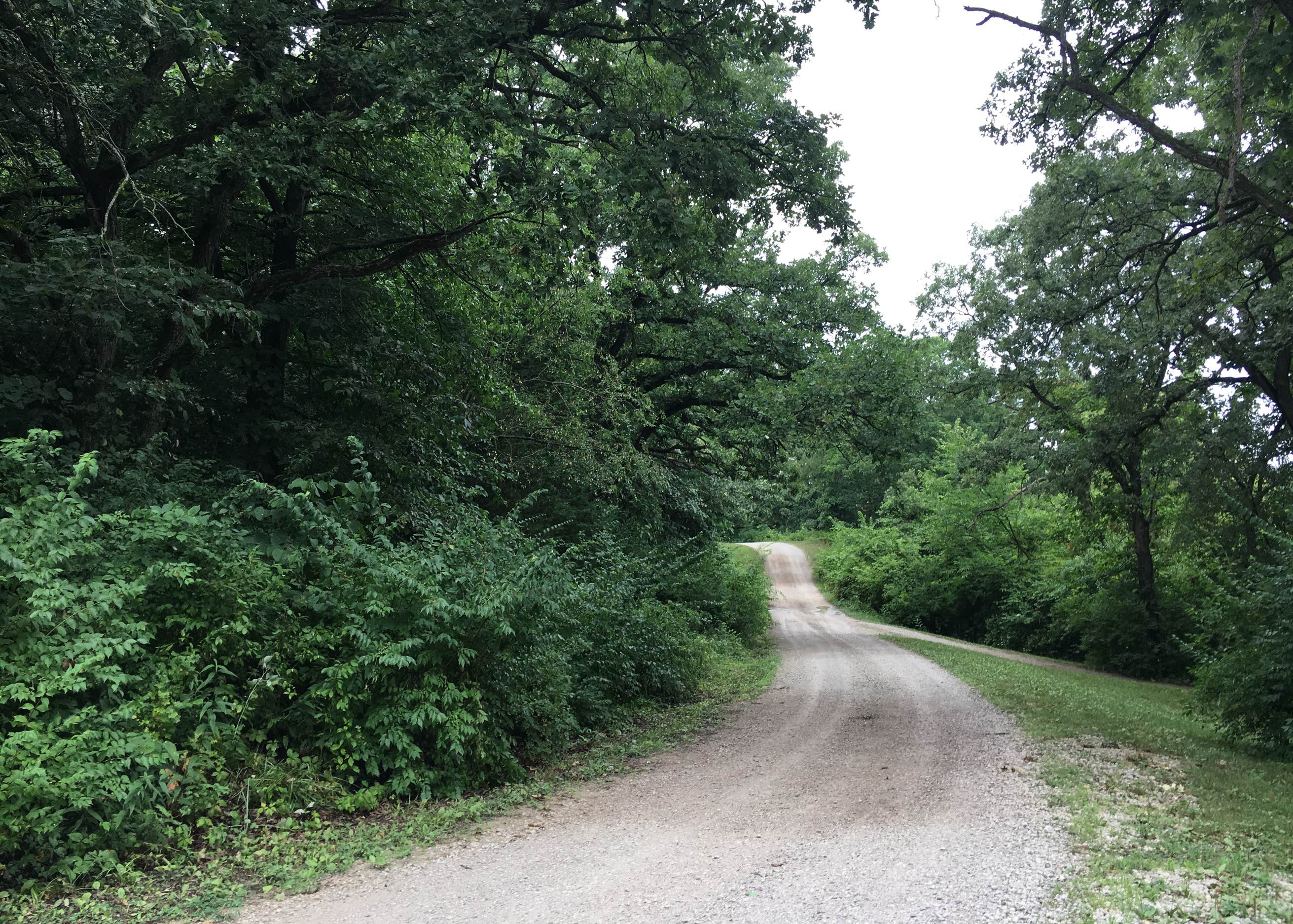 Thayer Lake Rec Area Camping The Dyrt