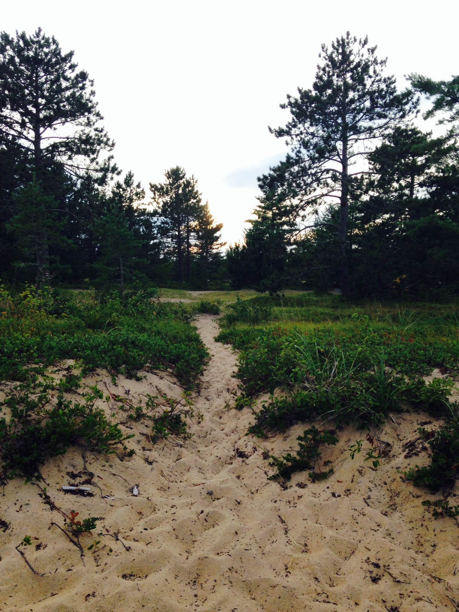 Camper submitted image from Schoolcraft Township Rustic Campground - 1