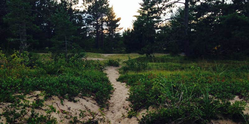 Camper submitted image from Schoolcraft Township Rustic Campground