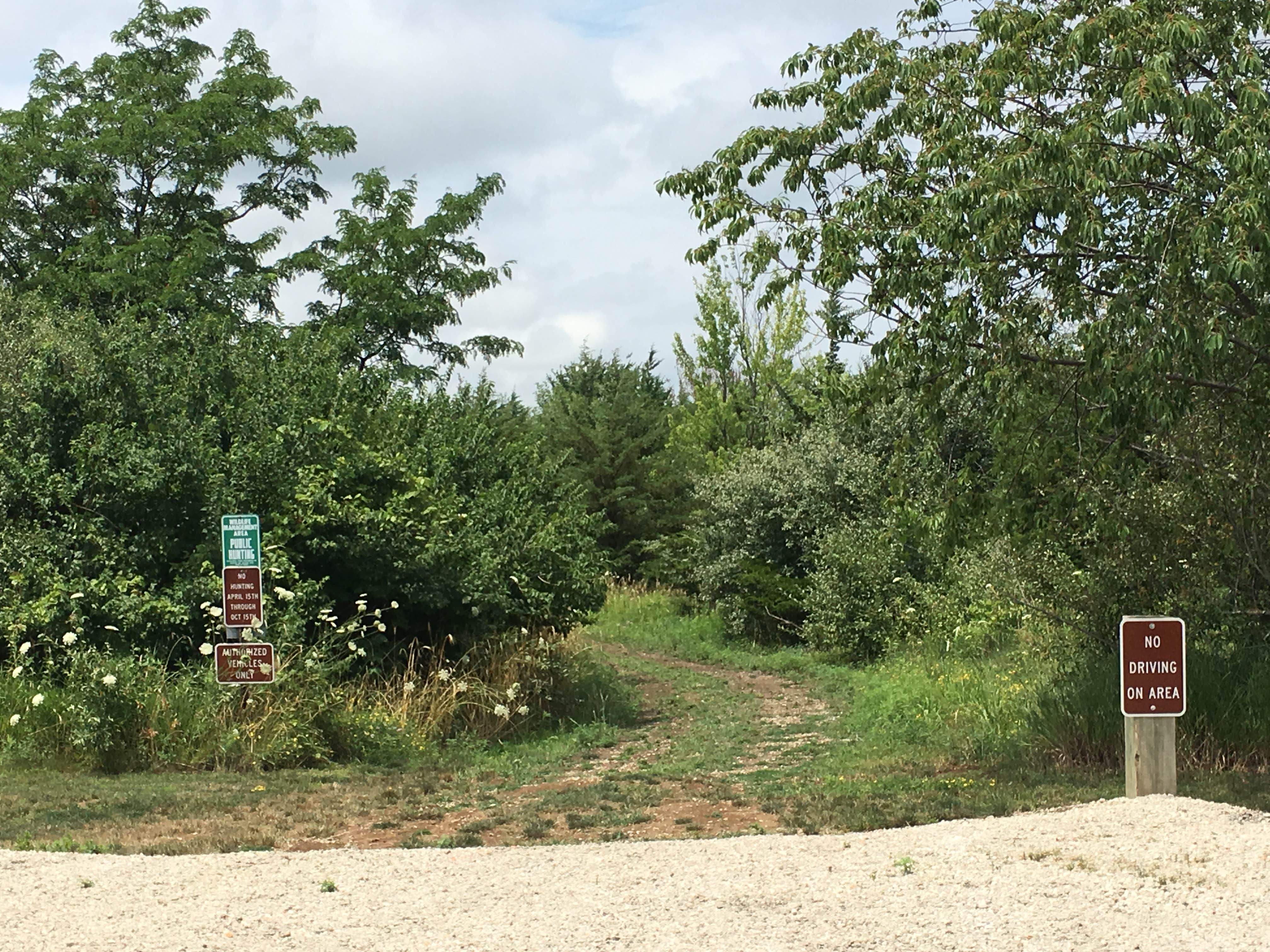 Camper submitted image from Lake Icaria Co Park - 3