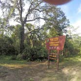 Review photo of Withlacoochee SF/Croom Tract - Crooked River - Silver Lake Rec by Elliott B., July 15, 2017