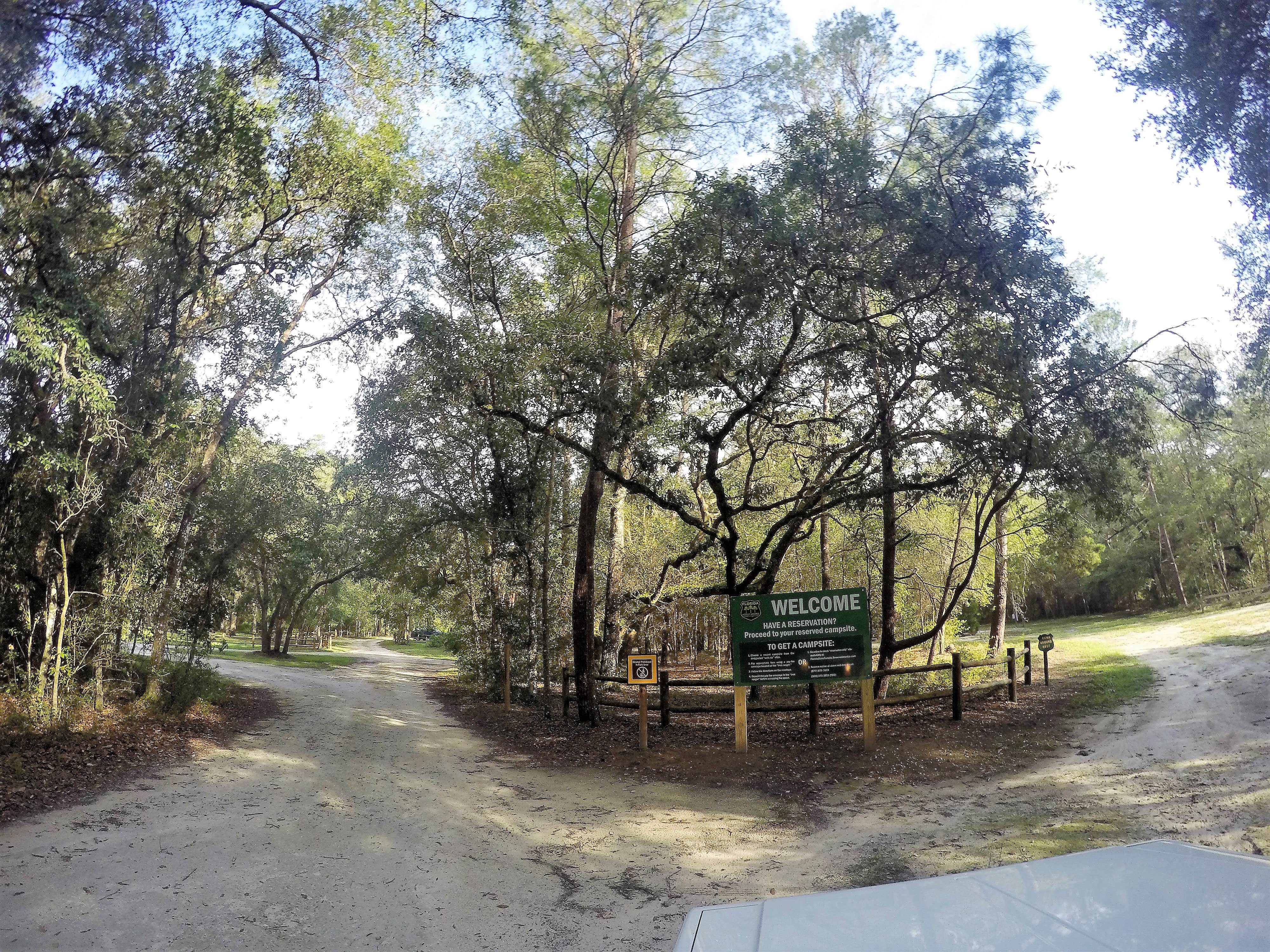 Camping near withlacoochee state trail hotsell