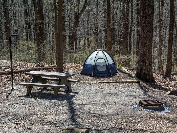 Camper submitted image from Owens Creek Campground — Catoctin Mountain Park - 5