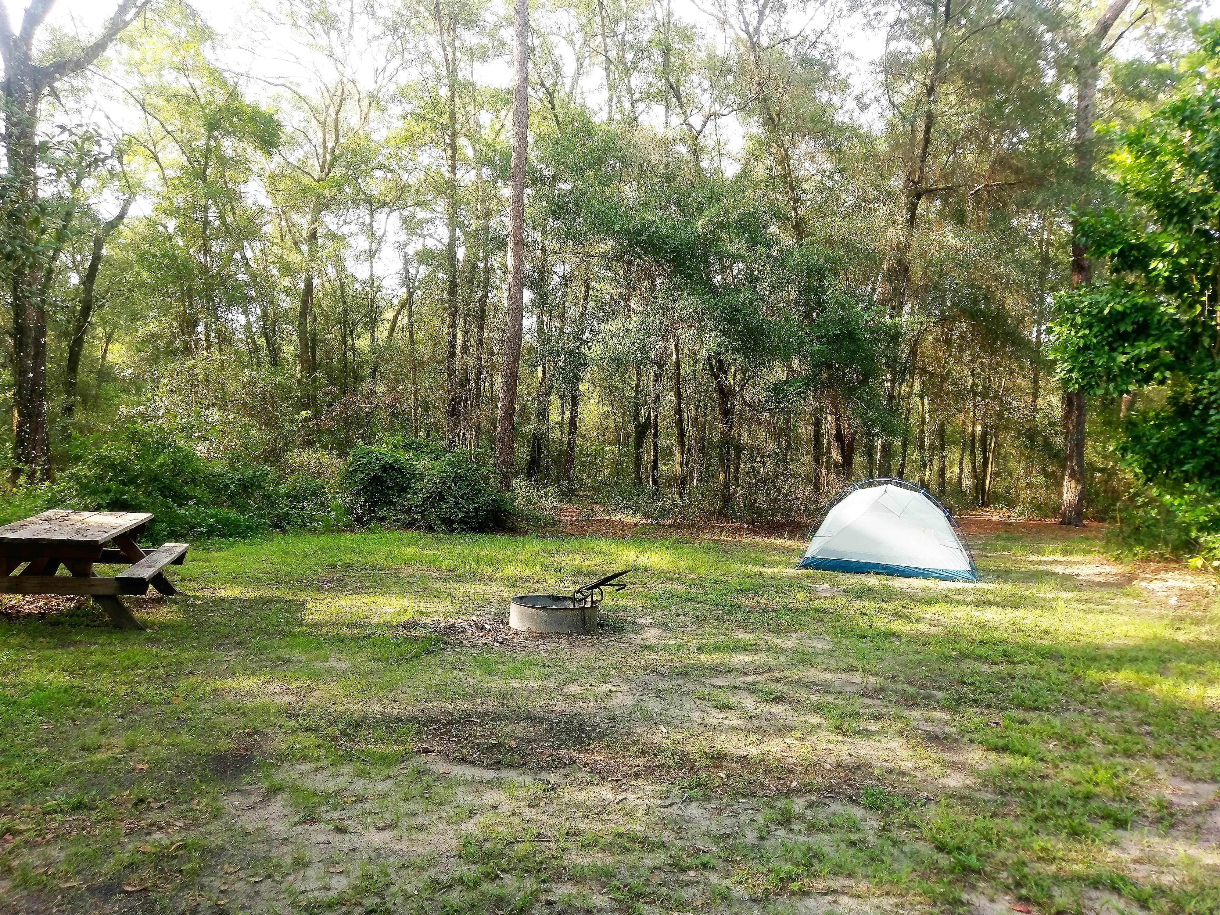 Camper submitted image from Withlacoochee SF/Croom Tract - Crooked River - Silver Lake Rec - 4