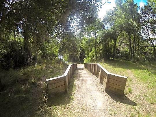 Camper submitted image from Withlacoochee SF/Croom Tract - Crooked River - Silver Lake Rec - 3