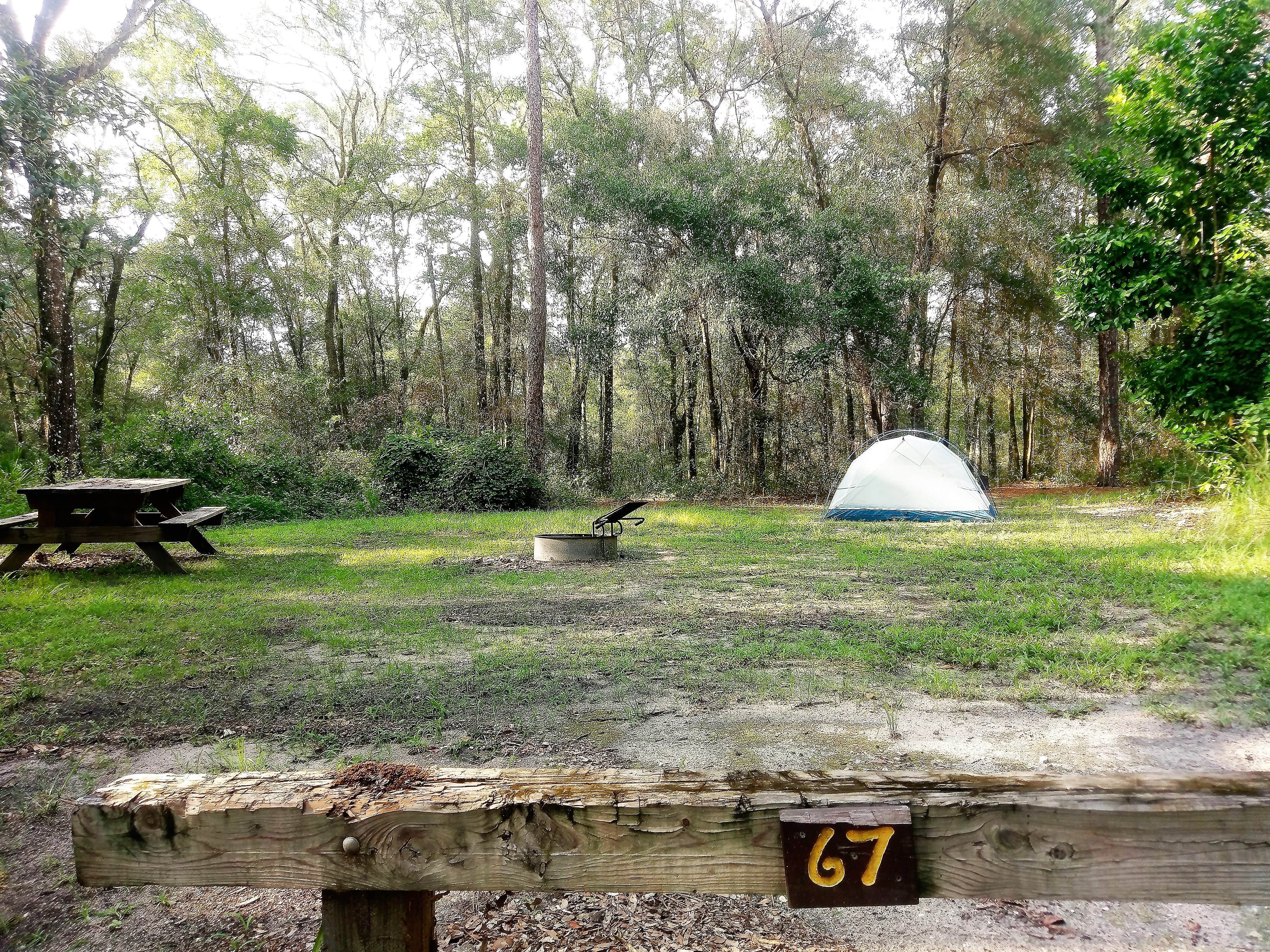 Elliott B.'s photo of tent camping at Crooked River Campground — Withlacoochee State Forest near Plant City, FL