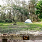 Review photo of Withlacoochee SF/Croom Tract - Crooked River - Silver Lake Rec by Elliott B., July 15, 2017