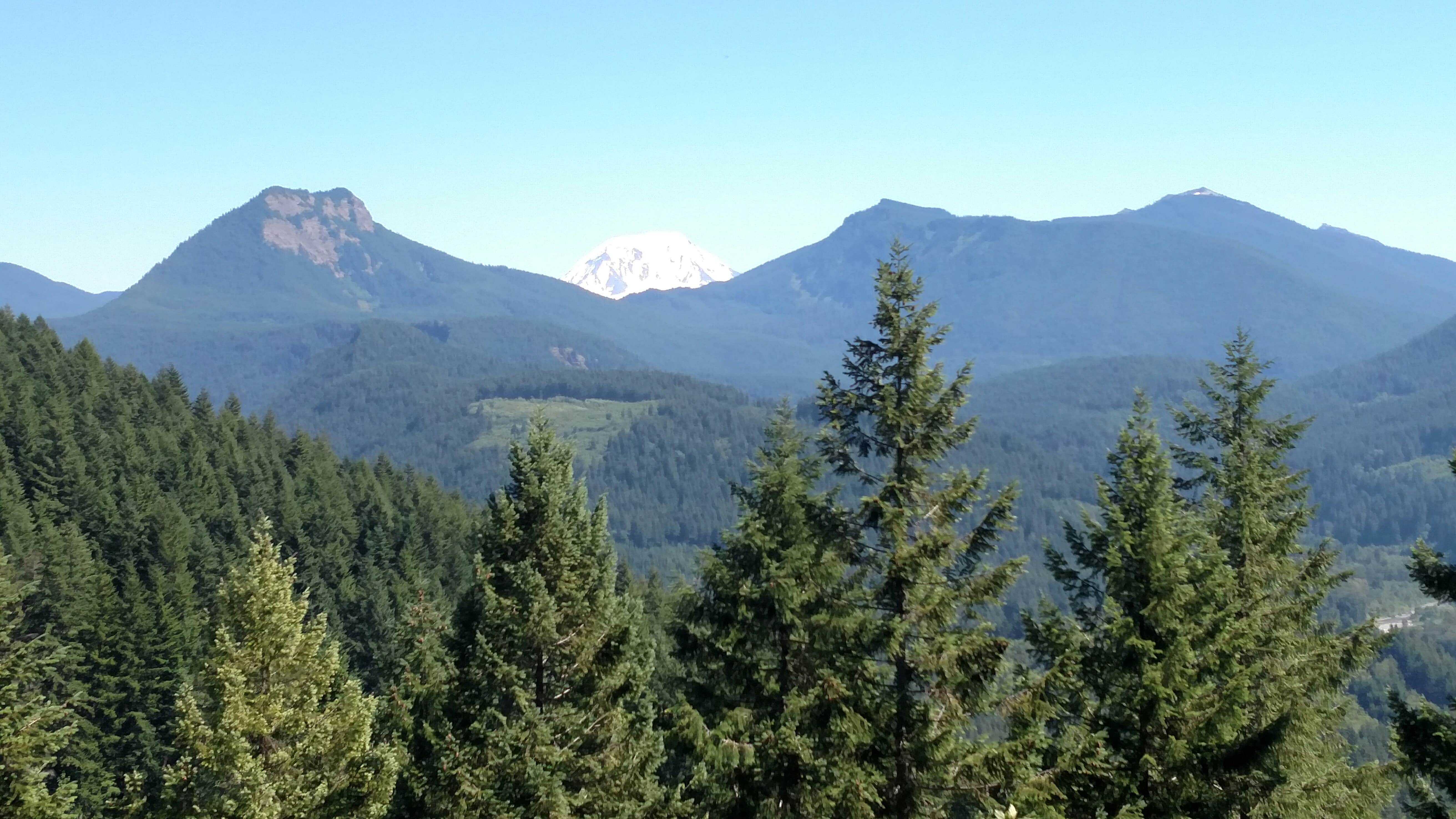 Camper submitted image from North Fork Elk Group Camp - 3