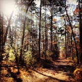 Review photo of Huntsville State Park Campground by Gretchen N., June 26, 2016