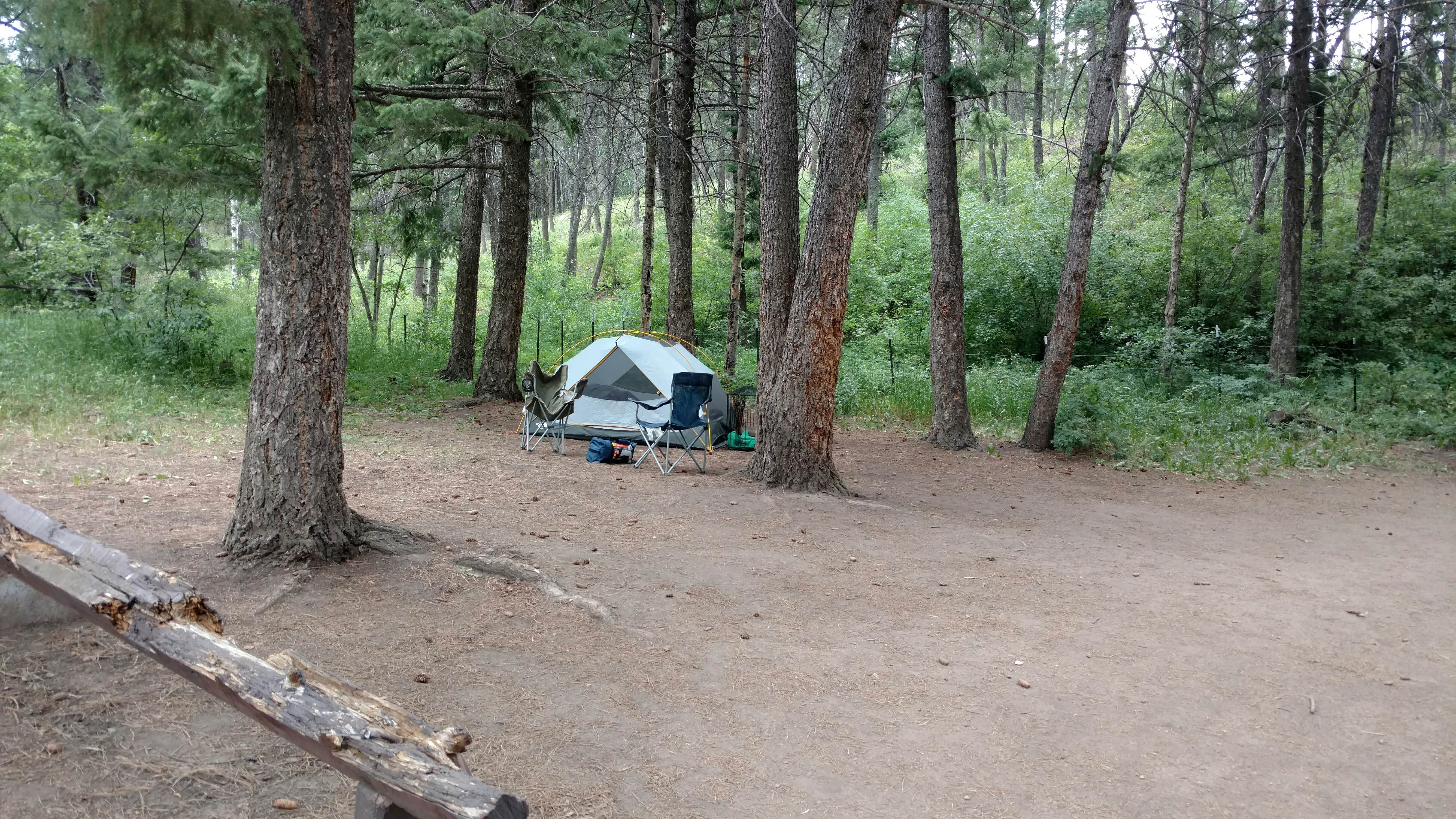 Natalie B.'s photo at Indian Creek Equestrian Campground near Littleton, CO