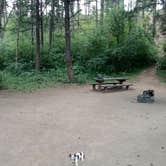 Review photo of Indian Creek Equestrian Campground by Natalie B., July 15, 2017